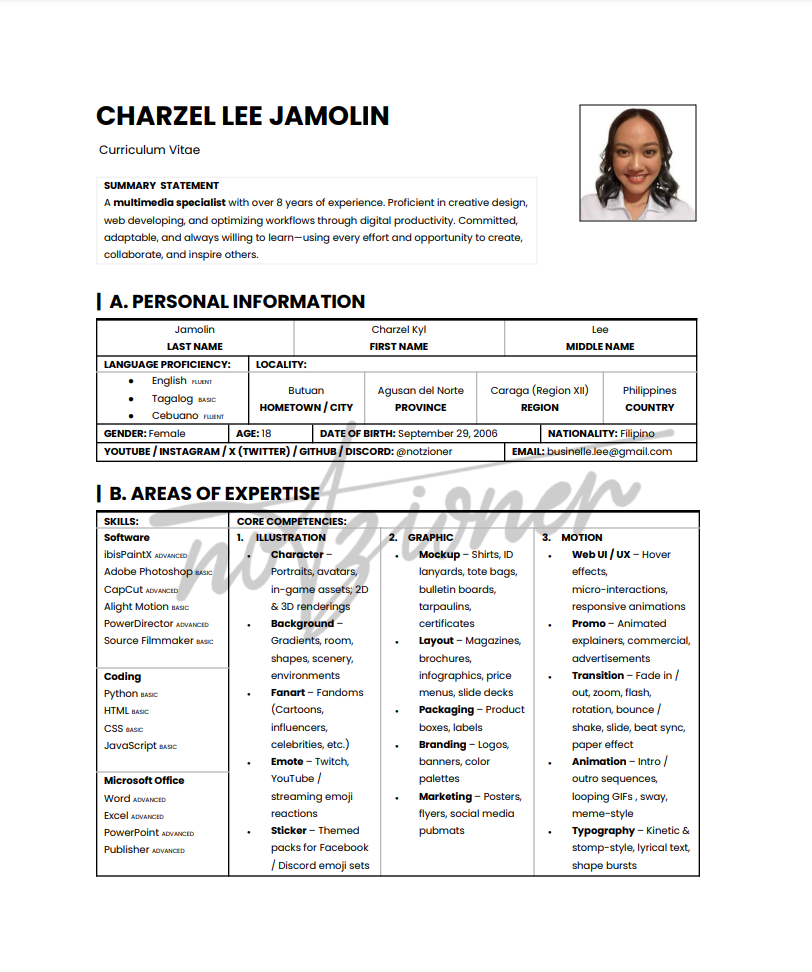 Curriculum Vitae Preview